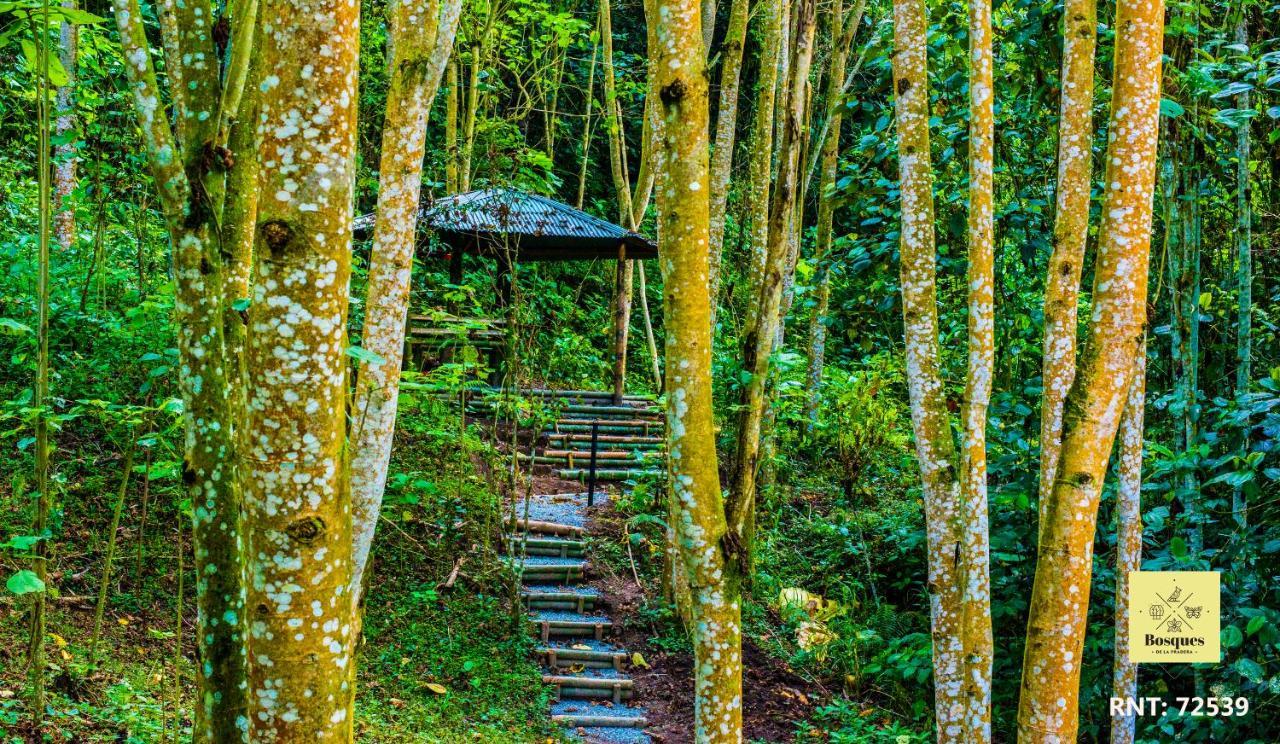 Bosques De La Pradera Hotel Manizales Exterior photo